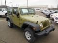 Commando Green - Wrangler Sport 4x4 Photo No. 4