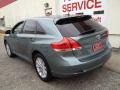 Aloe Green Metallic - Venza I4 Photo No. 4