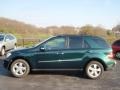 2006 Everest Green Metallic Mercedes-Benz ML 500 4Matic  photo #7