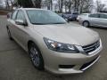 2013 Champagne Frost Pearl Honda Accord LX Sedan  photo #6