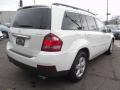 Arctic White - GL 450 4Matic Photo No. 4