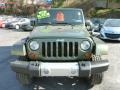 Jeep Green Metallic - Wrangler Sahara 4x4 Photo No. 14
