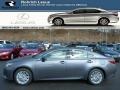 Nebula Gray Pearl - ES 350 Photo No. 1