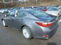 Nebula Gray Pearl - ES 350 Photo No. 2