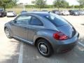 Platinum Gray Metallic - Beetle 2.5L Photo No. 5