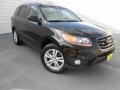 2011 Phantom Black Metallic Hyundai Santa Fe SE  photo #2