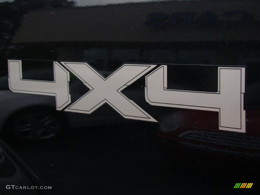 2010 F150 King Ranch SuperCrew 4x4 - Tuxedo Black / Chapparal Leather photo #36