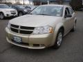 White Gold - Avenger SXT Photo No. 1