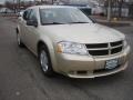 White Gold - Avenger SXT Photo No. 3