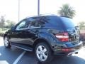 Black - ML 350 Photo No. 5