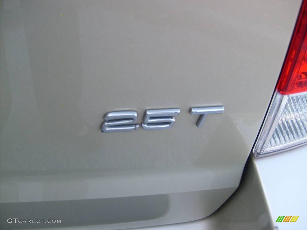 2007 V70 2.5T - Willow Green Metallic / Taupe/Light Taupe photo #11