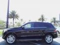 Black - ML 350 4Matic Photo No. 2