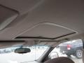 Neutral Sunroof Photo for 2006 Buick Rendezvous #77748990