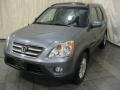 Pewter Pearl - CR-V SE 4WD Photo No. 1