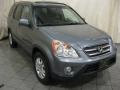 Pewter Pearl - CR-V SE 4WD Photo No. 3