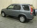 Pewter Pearl - CR-V SE 4WD Photo No. 9