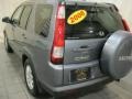 Pewter Pearl - CR-V SE 4WD Photo No. 10