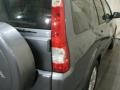 Pewter Pearl - CR-V SE 4WD Photo No. 12