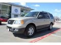 Pueblo Gold Metallic 2005 Ford Expedition XLT