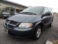 2002 Steel Blue Pearl Dodge Caravan SE  photo #3