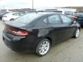 Pitch Black - Dart SXT Photo No. 5
