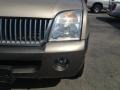 Light French Silk Metallic - Mountaineer Convenience AWD Photo No. 2
