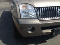 Light French Silk Metallic - Mountaineer Convenience AWD Photo No. 3
