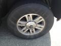 Light French Silk Metallic - Mountaineer Convenience AWD Photo No. 5
