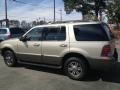 Light French Silk Metallic - Mountaineer Convenience AWD Photo No. 10