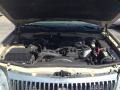 Light French Silk Metallic - Mountaineer Convenience AWD Photo No. 28