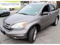 2010 Urban Titanium Metallic Honda CR-V EX AWD  photo #1