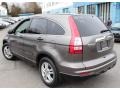 2010 Urban Titanium Metallic Honda CR-V EX AWD  photo #10
