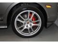 2008 Porsche Cayenne GTS Wheel and Tire Photo