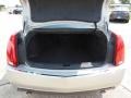 Light Platinum - CTS Sedan Photo No. 4