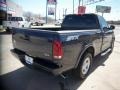 2003 True Blue Metallic Ford F150 STX Regular Cab  photo #7