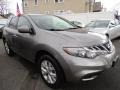 2012 Tinted Bronze Nissan Murano S AWD  photo #7