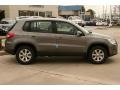 Alpine Grey Metallic - Tiguan S Photo No. 21