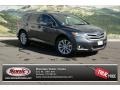Magnetic Gray Metallic - Venza LE AWD Photo No. 1