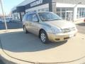 2008 Sunset Gold Metallic Kia Sedona LX  photo #3