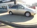 2008 Sunset Gold Metallic Kia Sedona LX  photo #4