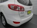 2010 Pearl White Hyundai Santa Fe Limited  photo #24