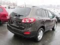 Espresso Brown - Santa Fe GLS AWD Photo No. 6