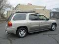 2002 Pewter Metallic GMC Envoy XL SLT 4x4  photo #8