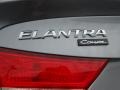 Titanium Gray Metallic - Elantra Coupe SE Photo No. 14