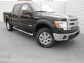 2013 Green Gem Metallic Ford F150 XLT SuperCrew 4x4  photo #2