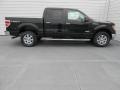 2013 Green Gem Metallic Ford F150 XLT SuperCrew 4x4  photo #3