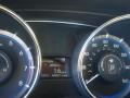 Shimmering White - Sonata GLS Photo No. 18