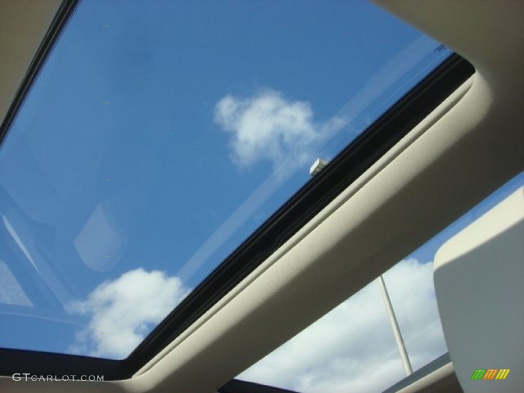 2010 ZDX AWD Technology - Palladium Metallic / Taupe photo #15