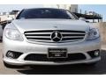 Iridium Silver Metallic - CL 550 Photo No. 2