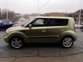 2010 Alien Green Kia Soul !  photo #5